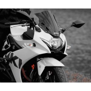 スズキ GSX250R スクリーン(クリア) ACRY Point : モトパーツ バイク