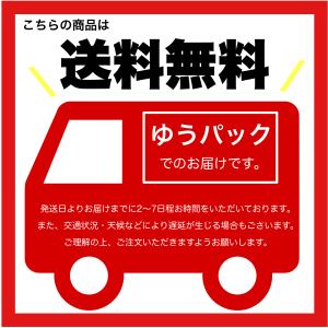 ライオン トップ ナノックスワン ニオイ専用 ...の詳細画像1
