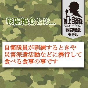 日本ハム 陸上自衛隊戦闘糧食モデル 煮込みハン...の詳細画像2
