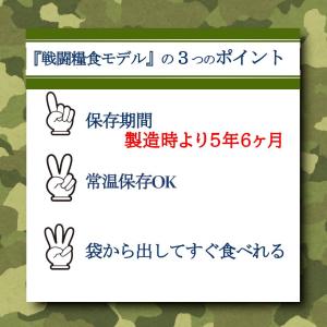 日本ハム 陸上自衛隊戦闘糧食モデル 煮込みハン...の詳細画像3