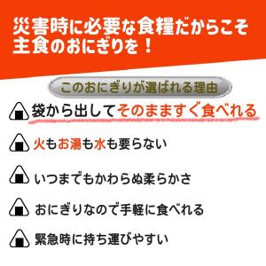 【50個】非常食 おにぎり 水不要 そのまま食...の詳細画像1