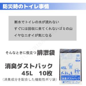 日本製 消臭ダストパック 45L 黒 10枚入...の詳細画像1