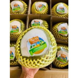 ヤング・ココナッツ/１玉　税込（北海道、本州、四国、九州以外の離島を除く）