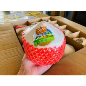 ダイヤモンドカット・ココナッツ／１２玉入り１ケース　税込（北海道、本州、四国、九州以外の離島を除く）