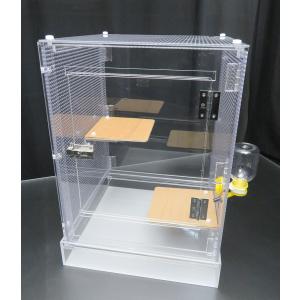 人気絶頂 アクリルケージ フクロモモンガ⭐︎ 120センチ!! - 小動物 人気絶頂 アクリルケージ フクロモモンガ⭐︎ 120センチ!! - 小動物