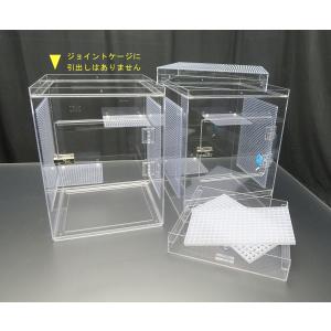 パンチング棚仕様 NEO フクロモモンガ ケー...の詳細画像2