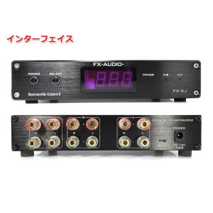 FX-AUDIO- PW-6J[Bonnevi...の詳細画像1