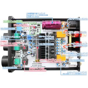 FX-AUDIO- FX-2020A+ CUS...の詳細画像2