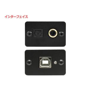 FX-AUDIO- FX-D03J+ USB ...の詳細画像3