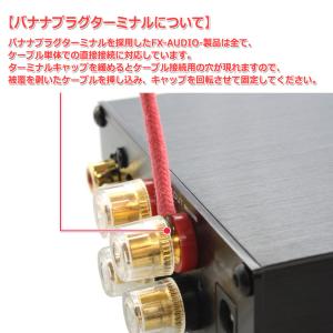 FX-AUDIO- D302J++[ブラック]...の詳細画像4