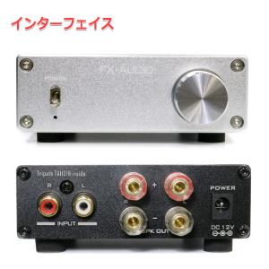 FX-AUDIO- FX-102J[シルバー]...の詳細画像1