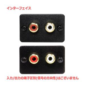 FX-AUDIO- GI-01J グランドルー...の詳細画像3
