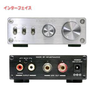 FX-AUDIO- FX-W1001J[シルバ...の詳細画像1