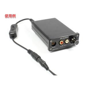電源スイッチ付きDC中継ケーブル 30cm(プ...の詳細画像1