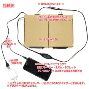 USB給電 デジタルアンプ内蔵オーディオケーブ...の詳細画像4