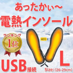 USB接続 あったかグッズ 電熱 インソール ヒーター