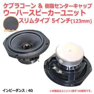 早い者勝ち ウーハー 71I9+GxnYEL._AC_SY200_QL15_.jpg