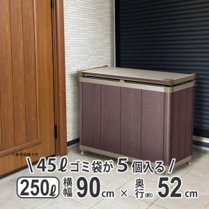 四国化成 屋外収納庫 おしゃれ 物置 屋外 250L 横幅 90cm 倉庫 外用