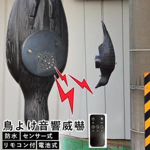 鳥よけ 鳥除け カラス 撃退 グッズ 害鳥 対策 からす 型 駆除 音響威嚇 ハト スズメ リモコン式 畑 家庭菜園 ゴミ置き場 鳥被害 電池式 センサー・叫ぶカラス｜ngh