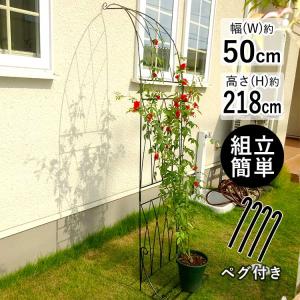 ガーデンアーチ アイアン バラアーチ 園芸 バラ アーチ ハーフアーチ