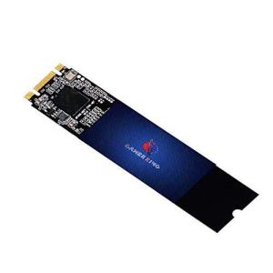 GamerKing M.2 2280 SSD 120GB SATA III 6Gb/s NGFF 内蔵型 Solid State Drive ハードド