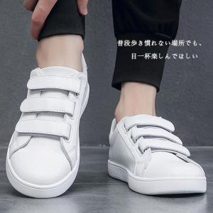 スニーカー メンズ 紳士靴 マジックシール シ...の詳細画像3