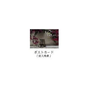 エントリーでP10倍! 岩合光昭の世界ネコ歩き...の詳細画像1