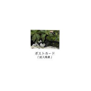 エントリーでP10倍! 岩合光昭の世界ネコ歩き...の詳細画像2