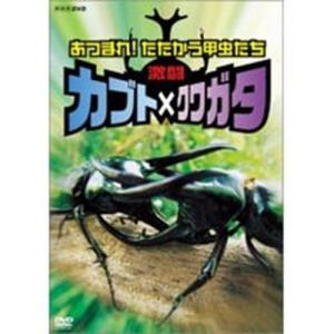 あつまれ！たたかう甲虫たち　激闘　カブト×クワガタ｜nhkgoods