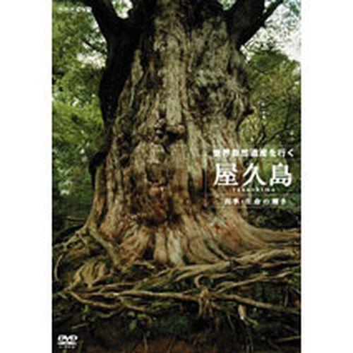 世界自然遺産を行く 屋久島 〜四季・生命の輝き〜