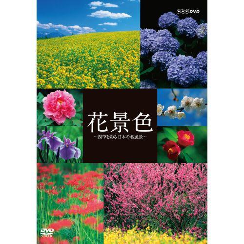 エントリーでP10倍！ 花景色 〜四季を彩る 日本の名風景〜 DVD