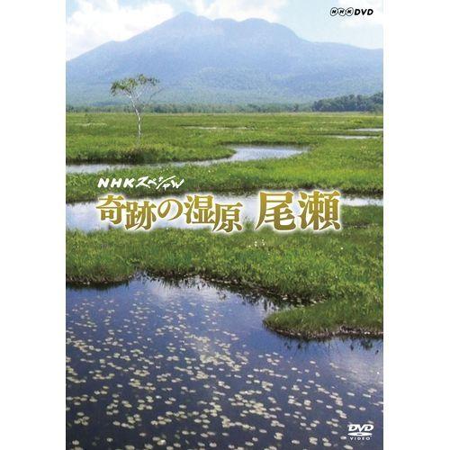 NHKスペシャル 奇跡の湿原 尾瀬