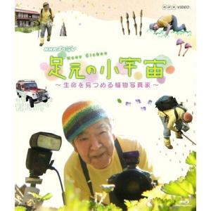 NHKスペシャル 足元の小宇宙 〜生命を見つめる植物写真家〜