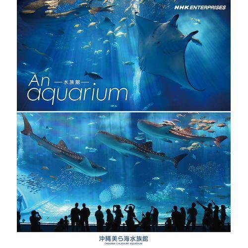 水族館 ―An Aquarium　〜沖縄美ら海水族館〜 ブルーレイ