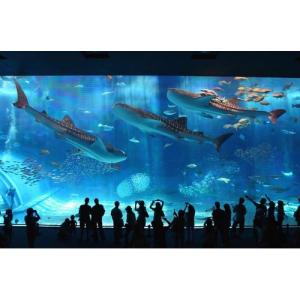 水族館 ―An Aquarium 〜沖縄美ら海...の詳細画像4