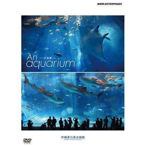 水族館 ―An Aquarium　〜沖縄美ら海水族館〜 DVD