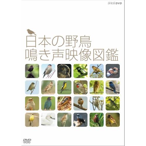 エントリーでP10倍！ 日本の野鳥 鳴き声映像図鑑 DVD