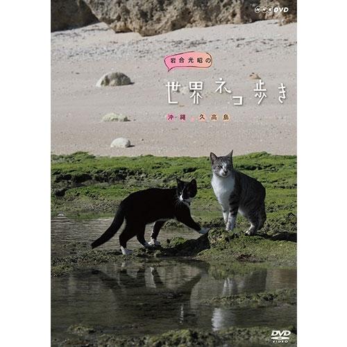 岩合光昭の世界ネコ歩き 沖縄 久高島 DVD【NHK DVD公式】