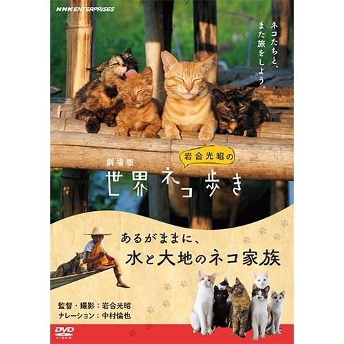 劇場版 岩合光昭の世界ネコ歩き あるがままに、水と大地のネコ家族 DVD【NHK DVD公式】