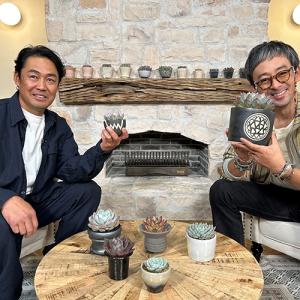 エントリーでP10倍! 趣味の園芸 これ、かっ...の詳細画像5
