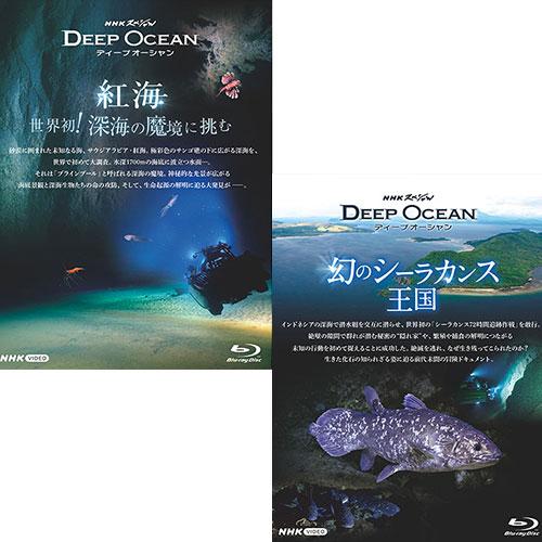 NHKスペシャル　ディープオーシャン　幻のシーラカンス王国・紅海 ブルーレイセット