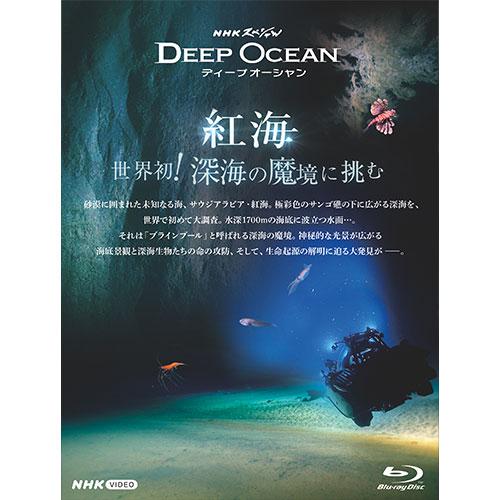 NHKスペシャル ディープオーシャン 紅海 世界初！深海の魔境に挑む ブルーレイ