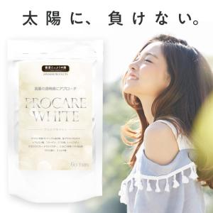 セラミド サプリ 紫外線 夏 アセロラ ビタミンC 馬 プラセンタ 約2ヶ月分 馬プラセンタ コラーゲン ヒアルロン酸 日焼け 日差し サプリメント