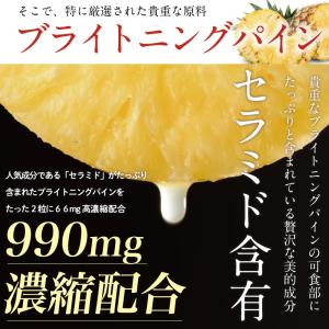 セラミド サプリ 夏 アセロラ ビタミンC 馬...の詳細画像1