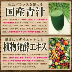 青汁 酵素 サプリ サプリメント ダイエット ...の詳細画像2