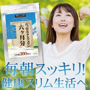 乳酸菌 サプリ サプリメント ラクトフェリン ...の詳細画像1