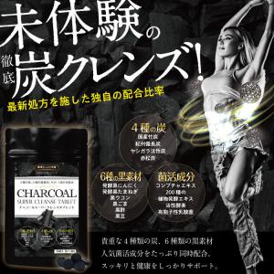 健康たっぷり本舗 ダイエット サプリ クレンズ 炭 菌活 約6ヶ月分 180