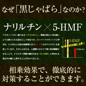 じゃばら サプリ ナリルチン 季節の変り目 3...の詳細画像4