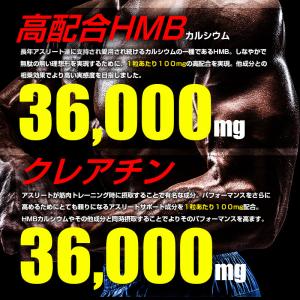 クレアチン サプリ HMB ダイエット サプリ...の詳細画像2