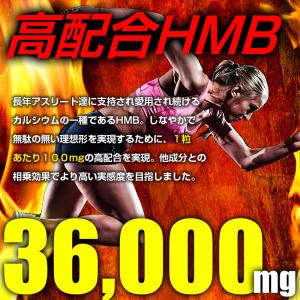 HMB サプリ ダイエット スリム 大容量 約...の詳細画像2